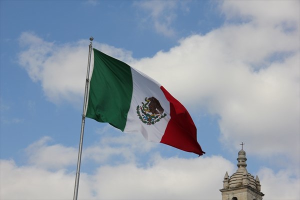 090-Мексиканский флаг